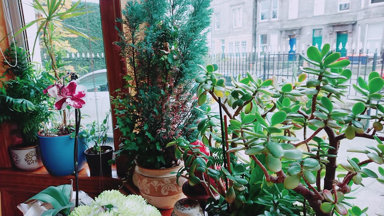 إدنبرة Swan Lake Guest House المظهر الخارجي الصورة