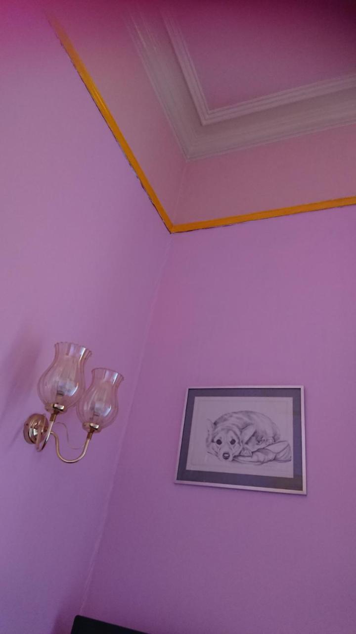 إدنبرة Swan Lake Guest House المظهر الخارجي الصورة